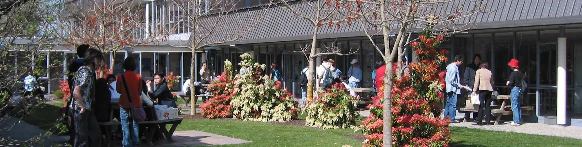 Imatge 1 de l'escola Christchurch College of English