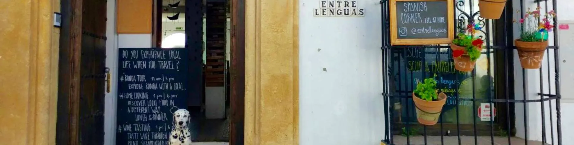 Imatge 1 de l'escola Escuela Entrelenguas