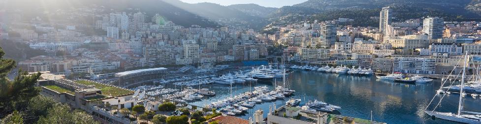 Vista en miniatura del vídeo de Monte Carlo