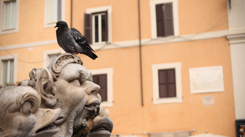 Centro Linguistico Italiano Dante Alighieri Roma Italia Corsi di Italiano