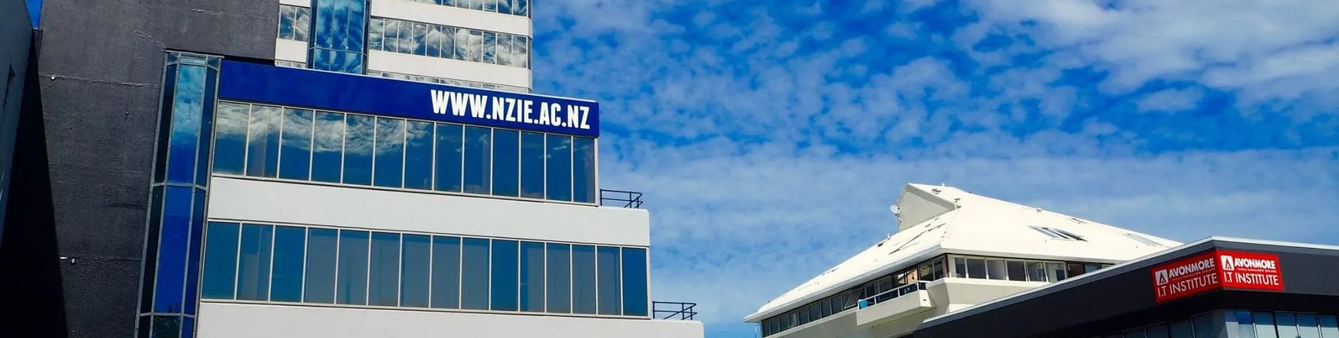 NZIE - New Zealand Institute of Education snímek 1	