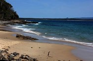 Noosa National Park