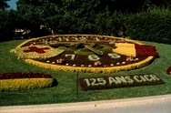 Flower Clock