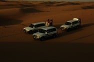 Wüsten-Safari