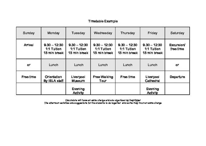  Cronograma de atividades - adultos (PDF)