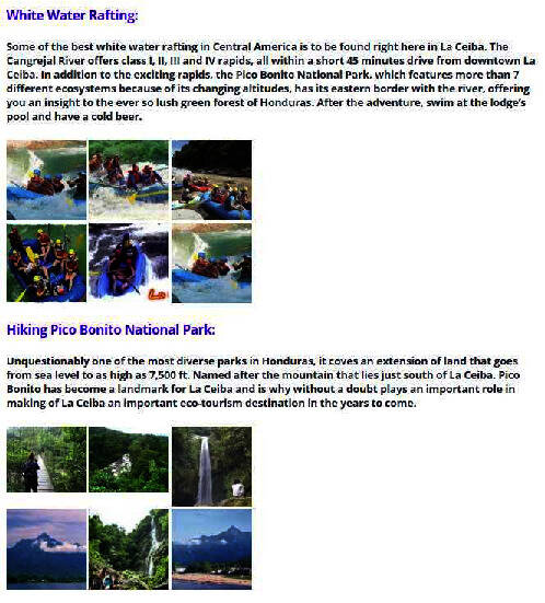 Sample of activities for adults (PDF)