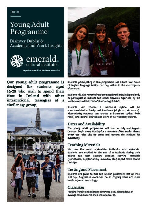 Program for unge voksne