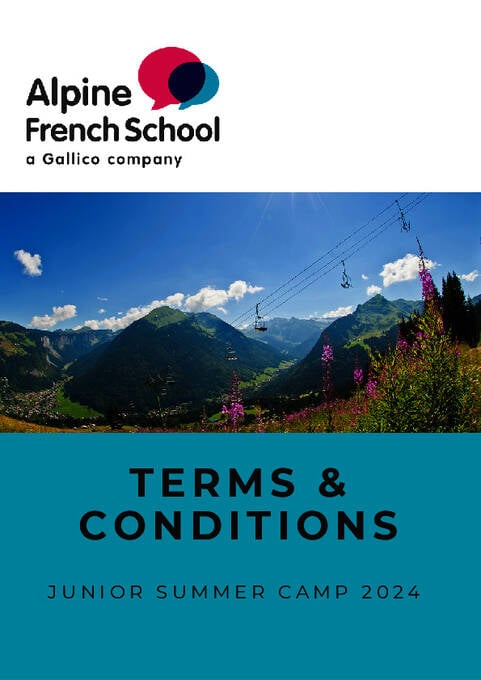 البنود والشروط