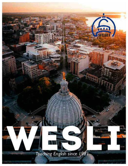 WESLI 브로셔