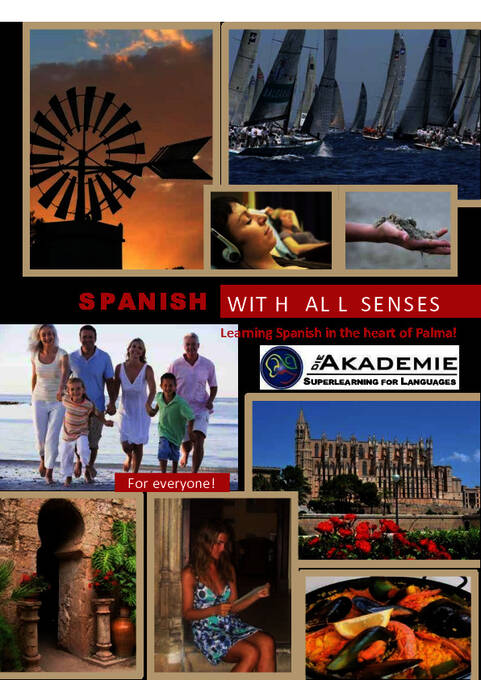 Die Akademie Brosjyre (PDF)