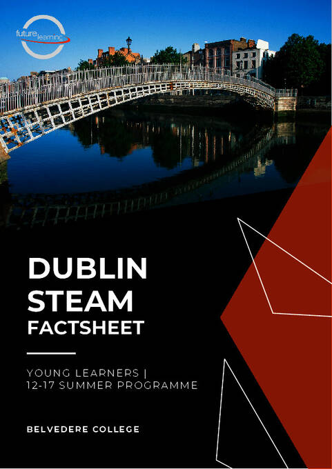 더블린 STEAM 팩트 시트