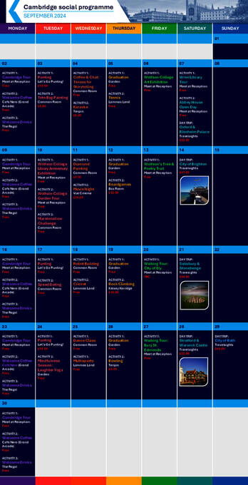  성인을 위한 액티비티 예시 (PDF)