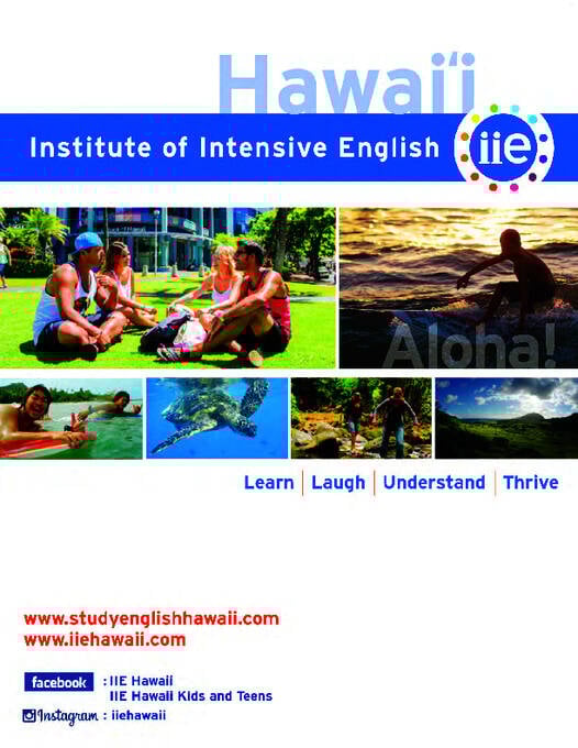 IIE Allmän broschyr