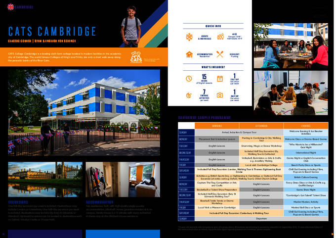 تقويم النشاط