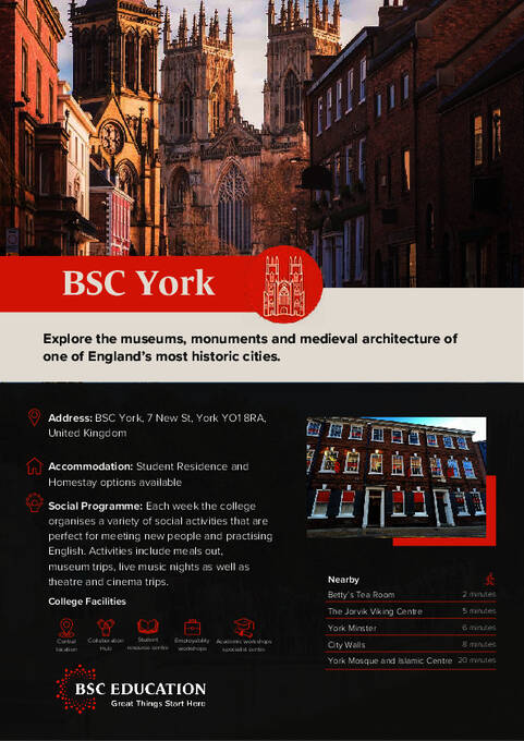 Factsheet BSC Education York