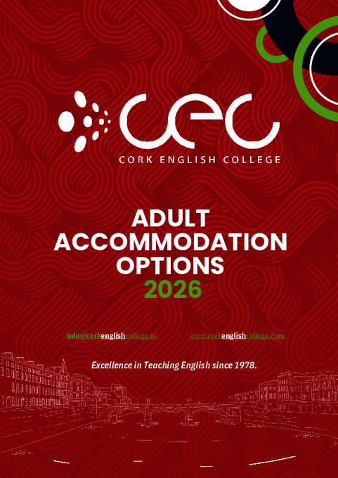 2026 CEC 성인 숙박 옵션 