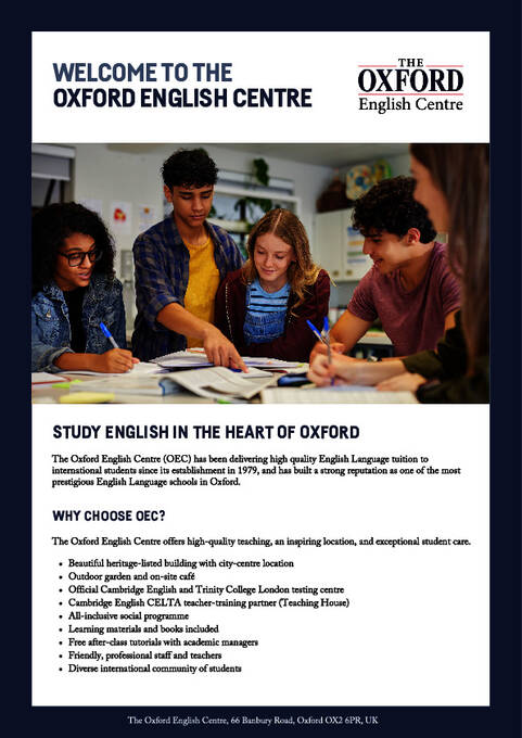 نشرة المعلومات