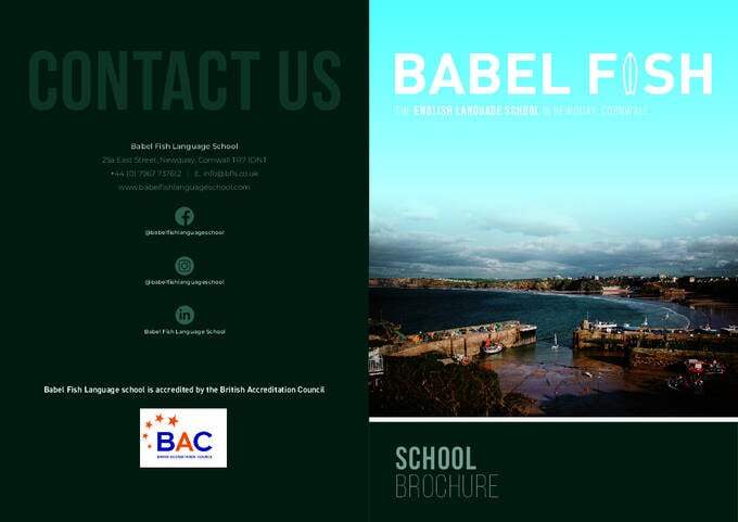 Babel Fish الكتيبات (PDF)