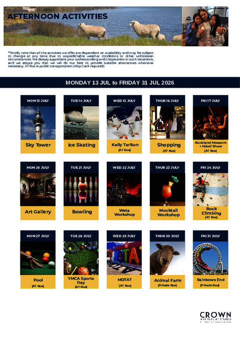  Cronograma de atividades - juniors (PDF)