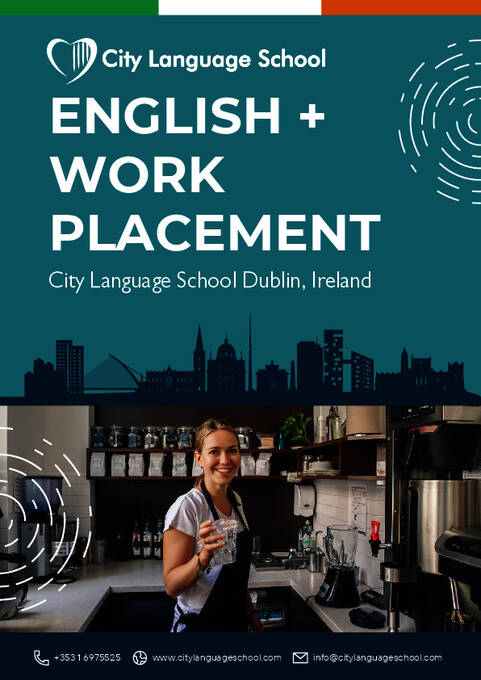 英语 + 实习课程 