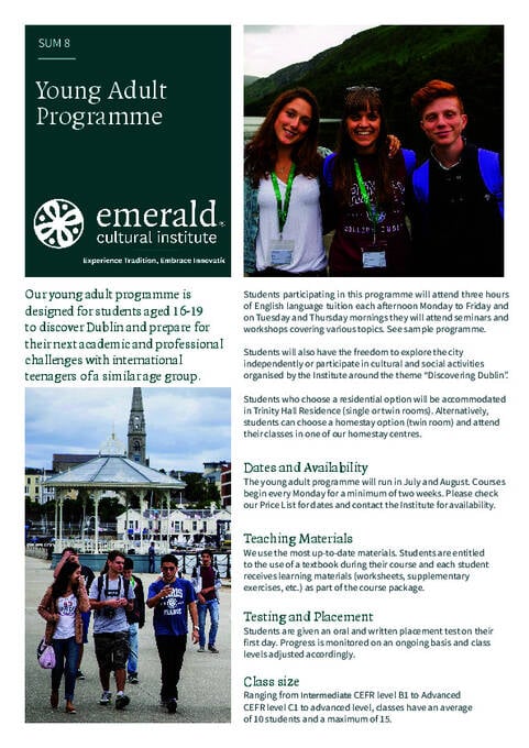 Young Adult programme