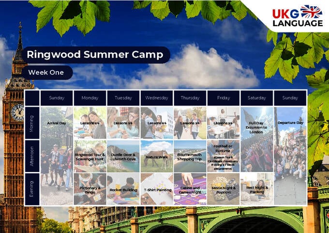 주니어 활동 일정