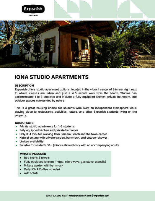 Ioana Studio Apartments