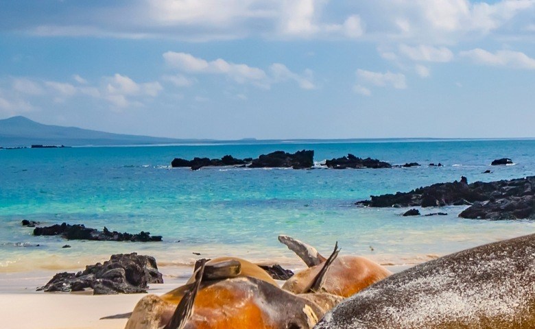 Galapagos øyene