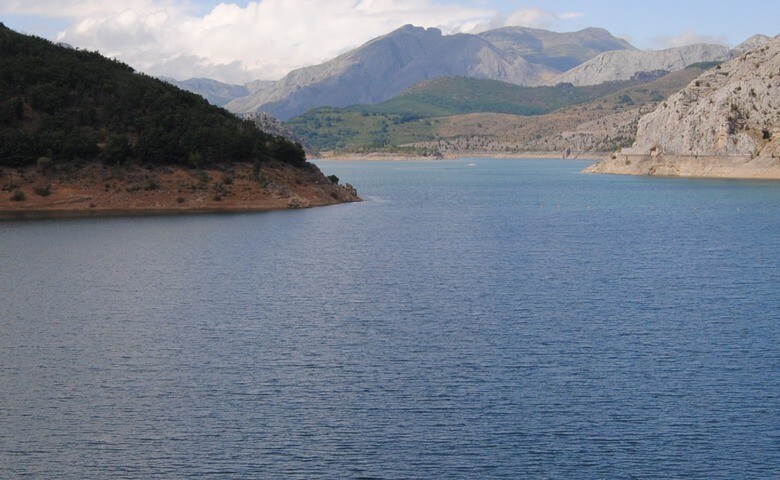 Lleó