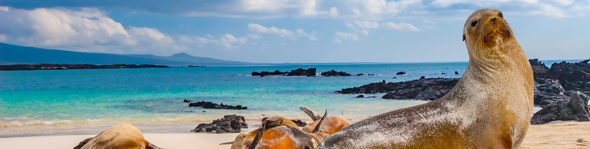 Galapagos øyene