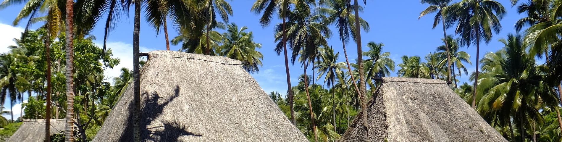 Fiji