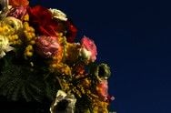 Sanremo Carnival of Flowers