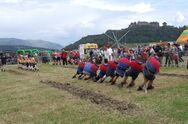 Highland Games