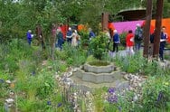 Chelsea Flower Show