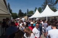 Vegan Life Festival