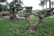 Euroflora