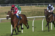 The Grand National