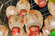 Ryukyu Lantern Festival