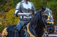 Quintana joust