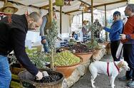 Fiera dell' Olio