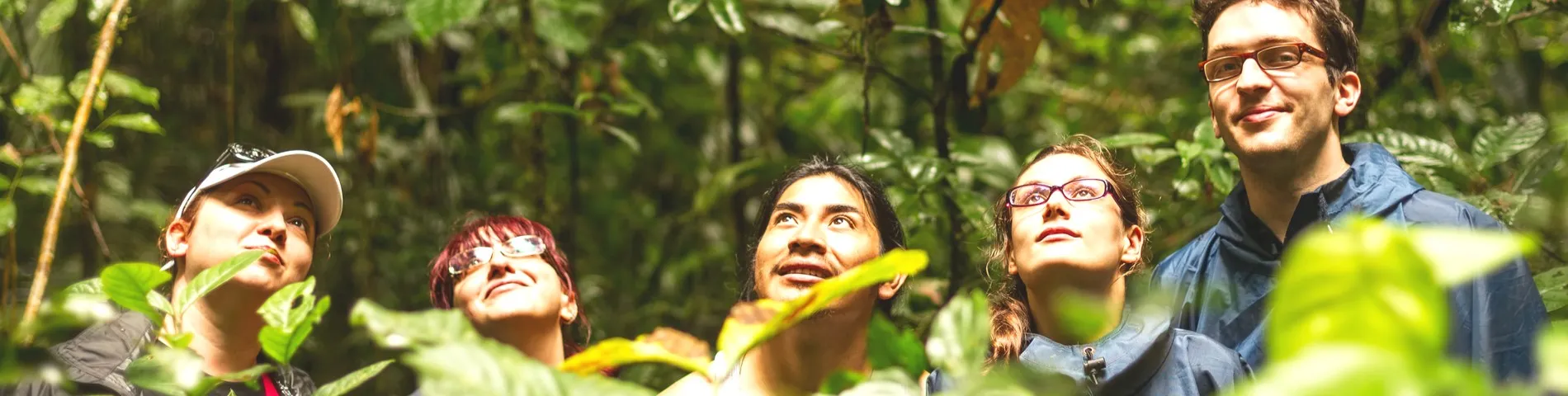 Amazonská džungle - 