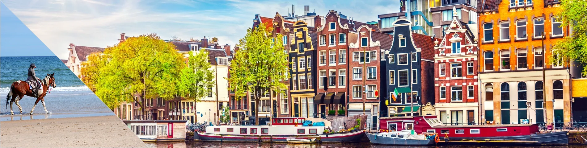 أمستردام - تعلم اللغة وركوب الخيل