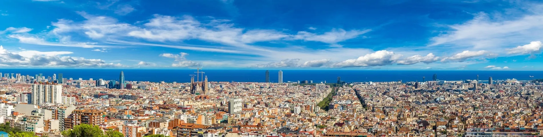 Barcelona - Curs estàndard