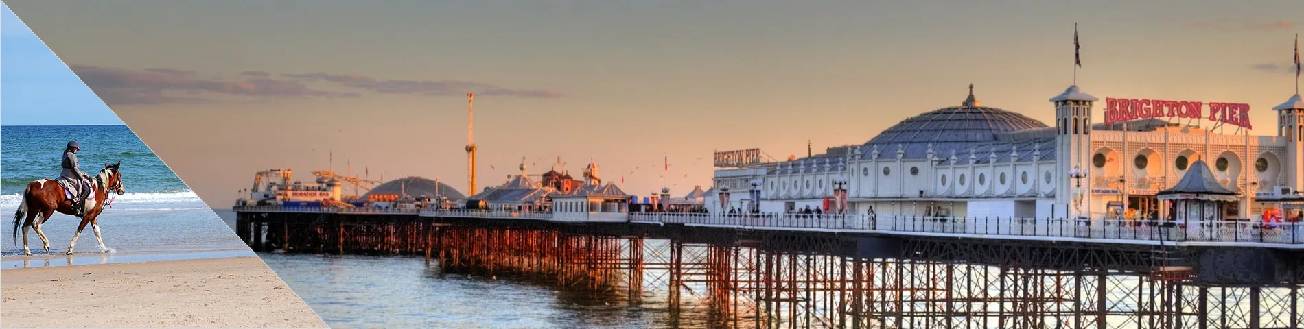 Brighton - İngilizce & Binicilik