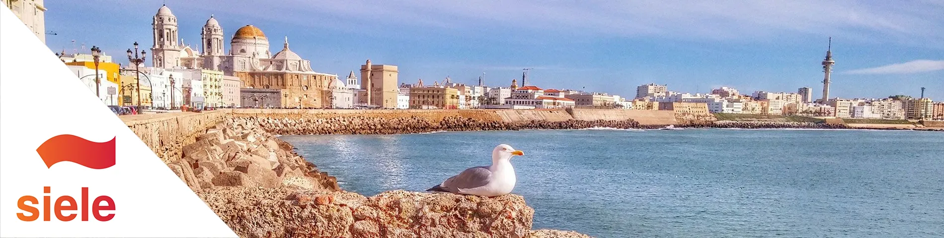 Cádiz  - SIELE