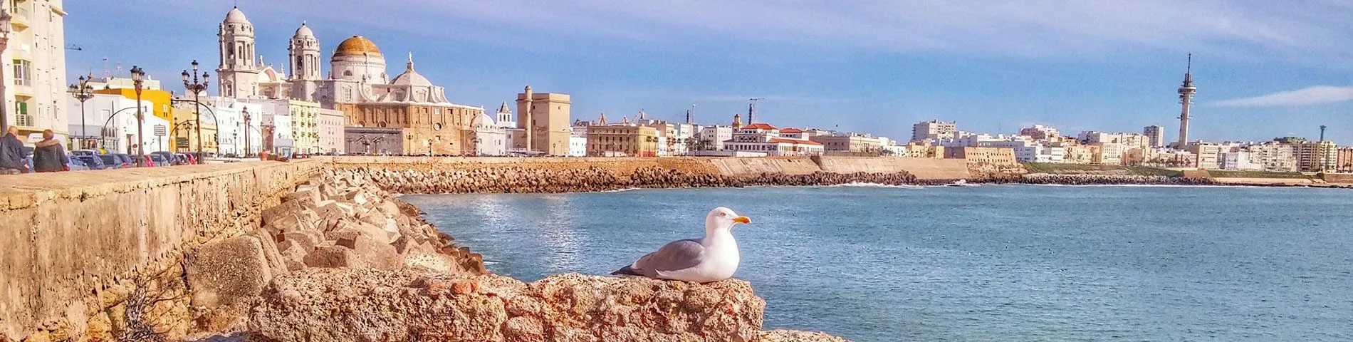 Cádiz - CCSE