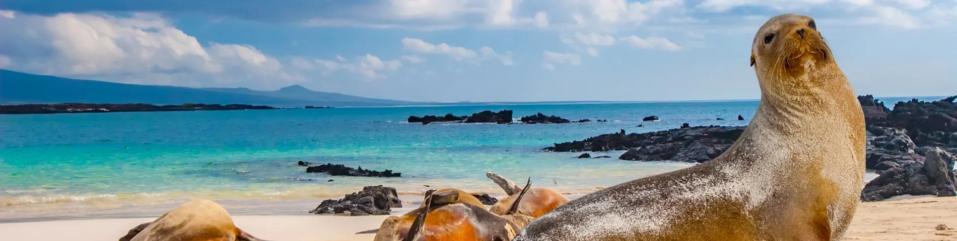 Ilhas Galápagos - 