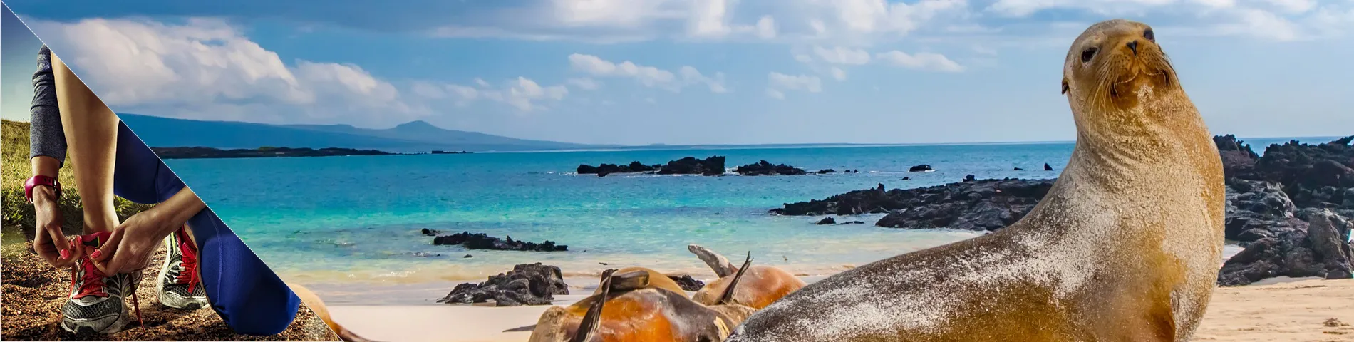 Galapagos øyene - 