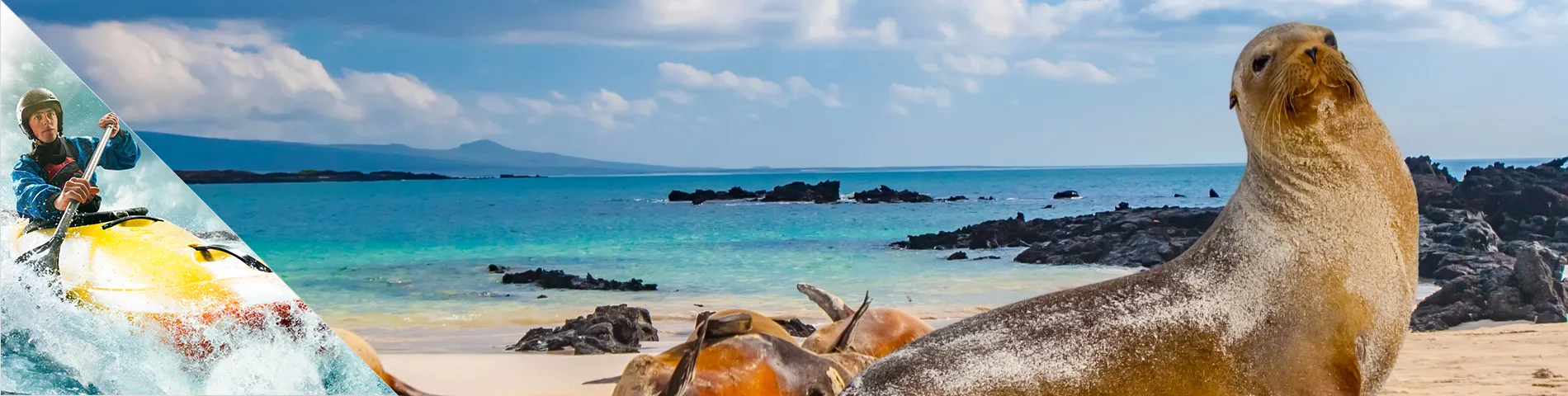 جزر غالاباغوس - اللغة و رياضات مغامرة