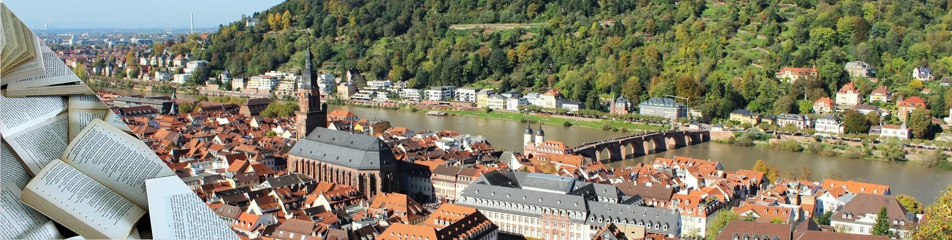 Heidelberg - Superintensive(+35h)